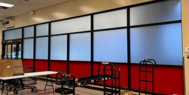 Privacy window tinting