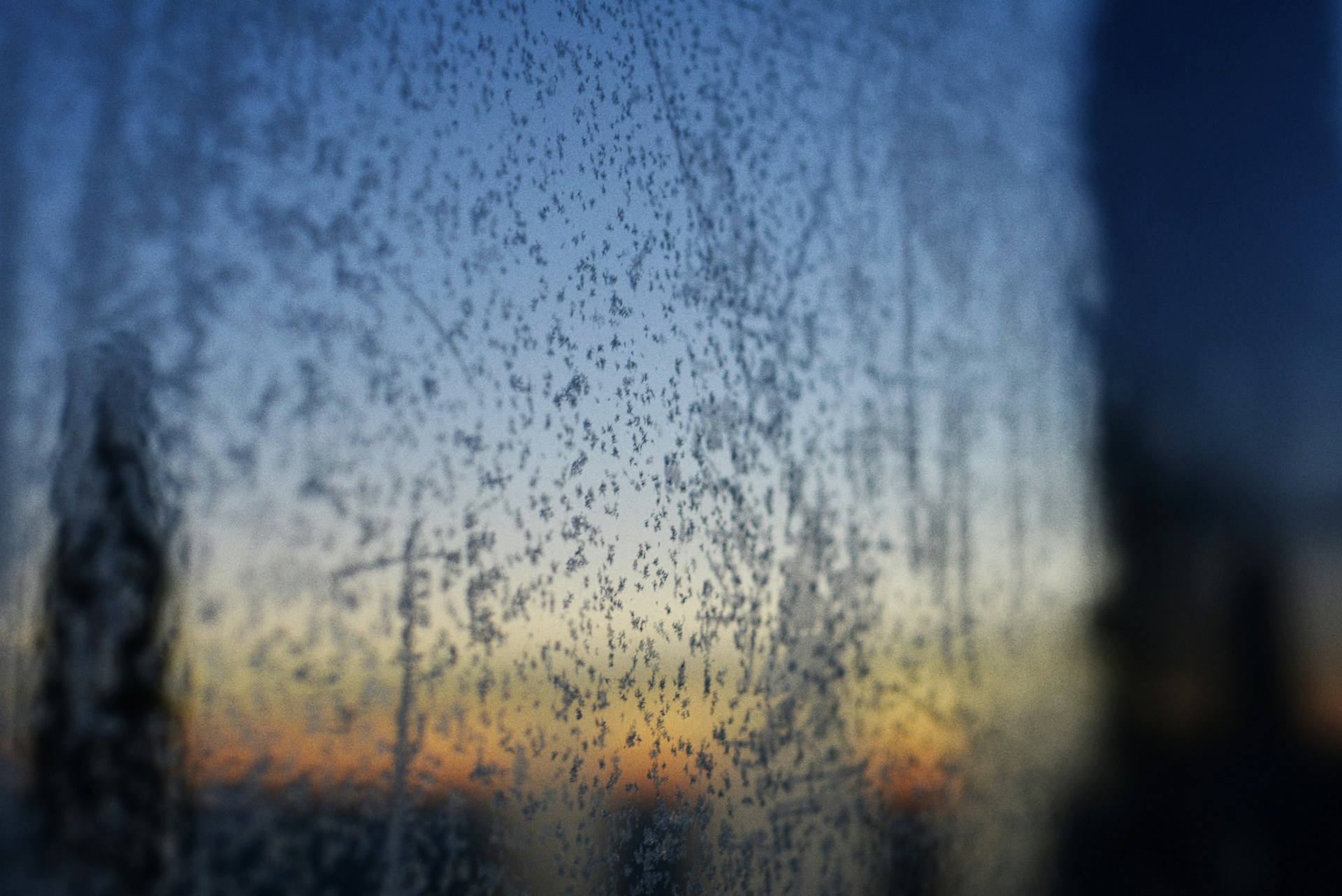 Can You Install Window Film in Winter? What Cold, Gray Weather Changes and What It Doesn’t